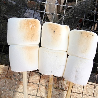 おうちでもお外でも(*´∀｀*)焼きマシュマロ♪